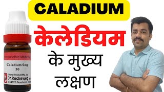 CALADIUM 30 guiding symptoms  caladium homeopathic medicine  केलेडियम [upl. by Dunaville]