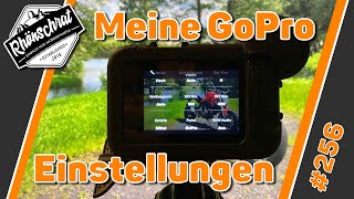 Meine GoPro Einstellungen  256 [upl. by Gradey]