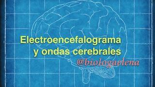 Electroencefalograma y ondas cerebrales [upl. by Kenji]