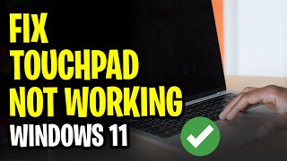 How to Fix Touchpad Not Working Windows 11  SOLVED for 2024 [upl. by Llevrac]