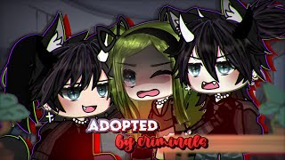 Adopted by CRIMINALS ⁉️  Gacha Life  GLMM  Mini Movie  ORIGINAL [upl. by Sitelc]