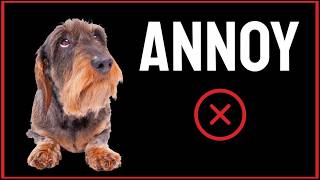 Sound to ANNOY your Dog CRAZY DOG RESPONSE [upl. by Jock]