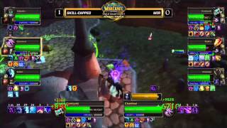 Blizzcon 2013  Minpojkes Incredible Heal for Zunniyaki [upl. by Meldon251]