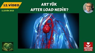 AFTERLOAD NEDİR  ARTYÜK NEDİR  MEDIKAL VİDEOLAR [upl. by Bose]