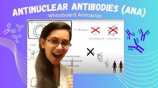 Antinuclear Antibody ANA Summary of 5 Pearls Episode [upl. by Llerdnod]