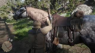 Red Dead Redemption 2 Get to Jamie Mary Linton Quest [upl. by Miof Mela385]