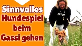 ►► Hundespiele ✔ Sinnvolle Hunde Spiele beim Gassi gehen  Stephanie Salostowitz ✔✔ [upl. by Lain]