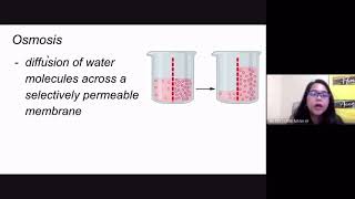 Passive Transport LET GenEd amp Bio [upl. by Bernardo]