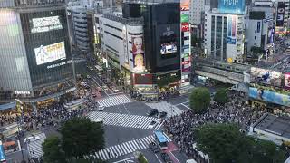 Shibuya Crossing Timelapse [upl. by Atikat]