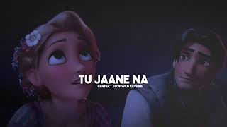 Tu Jaane Na  Slowed Reverb [upl. by Torres275]