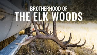 BROTHERHOOD OF THE ELK WOODS  A Wyoming Archery Elk Hunt [upl. by Ertemed]