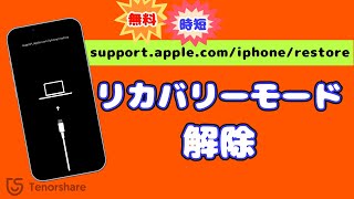 【無料・時短】iPhoneをリカバリーモードから解除する方法を解説！解除できない対処法も [upl. by Adnihc]