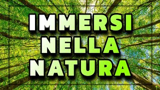 IMMERSI nella NATURA 🌲 Vlog ITA tsaliyahh Vecchio Video [upl. by Elledoj943]