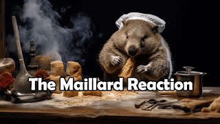 The Maillard Reaction 101 [upl. by Onida]