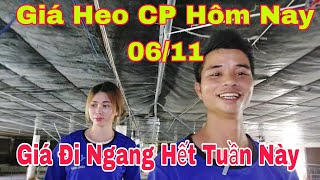 Giá Heo Hơi Ngày Hôm Nay 0611 Giá Đi Ngang Chợ Hà Nam Tồn Hàngnongtraihoakieu [upl. by Ahsekyw]