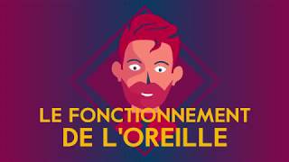 Le fonctionnement de loreille  Amplifon [upl. by Hollander]