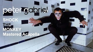 Peter Gabriel  Shock The Monkey Mastered Acapella [upl. by Ania]