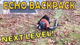 Echo Backpack Leaf Blower PB755ST  2 Year Update [upl. by Bunnie]