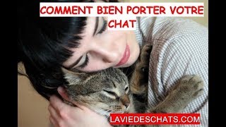 Comment bien porter un chat 🐱 [upl. by Shirl]