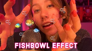 ASMR  the fishbowl effect 💤🐠🥣 [upl. by Araem69]