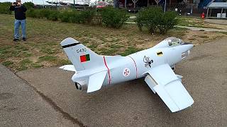 RC Jet Pirotti Fiat G91 quotGinaquot 133 in Modelcity CZ [upl. by Eiramana]