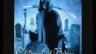 Children Of Bodom  Kissing The Shadows Lyrics [upl. by Abixah450]