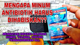 🔥Manfaat Antibiotik Amoxicillin Trihydrate Kaplet 500 Mg Untuk Mengobati Infeksi✅️ [upl. by Teryl]