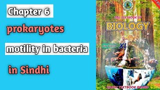 motility in bacteria class 11 biology Sindh board chapter 6 prokaryotes [upl. by Udell534]