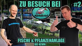 Fische amp Pflanzenanlage bei AQUaddicted in Arnstadt bei Kevin  Teil 2 [upl. by Ahtelra90]