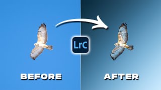 Transform Your Photos in Lightroom Like a PRO [upl. by Enamrej]