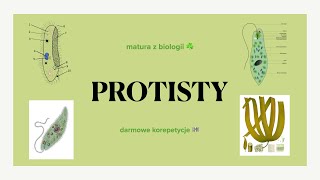 8 Protisty  zwierzęce roślinopodobne grzybopodobne  matura z biologii 🌿 biologia liceum [upl. by Cathleen]