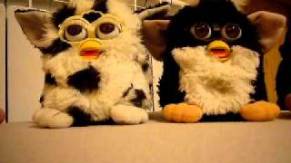 Furby combo burp [upl. by Hallimaj]