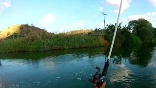 Pescaria no rio Paraíba do Sul com meu amigo Jhonatan Os peixes estavam ligeiro [upl. by Enohs765]