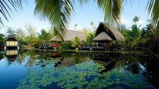 Traditional Polynesian Home with Modern Comforts in Fare French Polynesia [upl. by Rosen489]