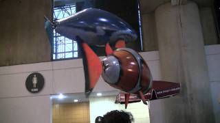 Air Swimmers Remote Controlled Flying Shark And Clown Fish [upl. by Ahtelat471]