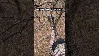 Quick Shot on a Big Kansas Buck deer whitetaildeer bowhunting shorts deerhunting hunting [upl. by Helyn]