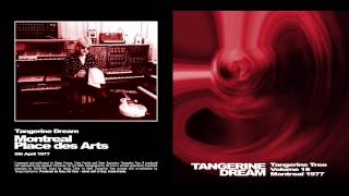 Tangerine Dream  Montreal 1977 [upl. by Cleti]