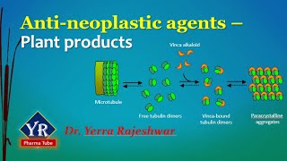 Antineoplastic agents  Plant products  Etoposide  Vinblastine  Vincristine  YR Pharma Tube [upl. by Inhsor]