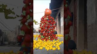 Fruit pairing c4d works special effects [upl. by Miun]