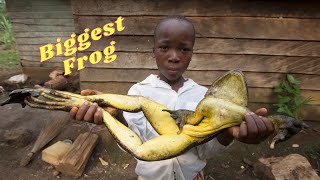 Biggest frog in the world [upl. by Pratt]