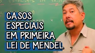 Casos Especiais em Primeira Lei de Mendel  Extensivo Biologia  Descomplica [upl. by Boland600]