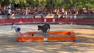 20220717 Toro piscine aux arènes de Laudun  Club Taurin Lou Gandar [upl. by Ronyar]