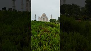 Enjoy TajMahal just for yourself tajmahal india travel travelphotography agra shorts trading [upl. by Leunamme]