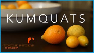 How To Make Kumquat Cordial OR Shrub [upl. by Neelak]