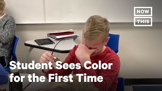 Student Sees Color for First Time With EnChroma Glasses  NowThis [upl. by Codi742]