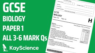 GCSE Biology Paper 1  4 Bioenergetics  Exam Questions amp Answers Revision 36 mark Qs [upl. by Osner]