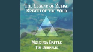 Molduga Battle From quotThe Legend of Zelda Breath of the Wildquot [upl. by Ylrebmit492]