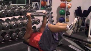 DeFrancosGymcom  Exercise Index 45 lb plate core circuit [upl. by Catton]