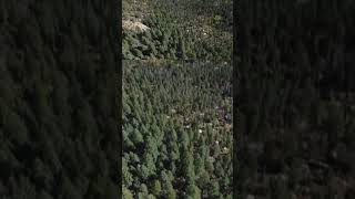 Woodland Park Aerial Footage drone nature travel photography aerialfootage sceniccolorado [upl. by Yeldoow535]