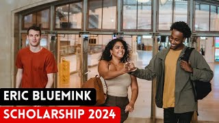 The Eric Bluemink Fund Scholarship to Study in The Netherlands 2024 [upl. by Omle]